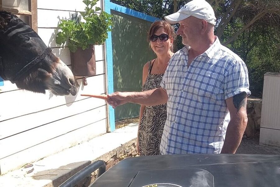 Albufeira Safari exploring villages, churches, castle & farm - Paderne village, church time, and the medronho and honey tasting