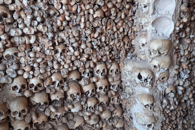 Albufeira Safari w/ Krazy World Visit, Bones & Animals - Who This Tour Suits Best