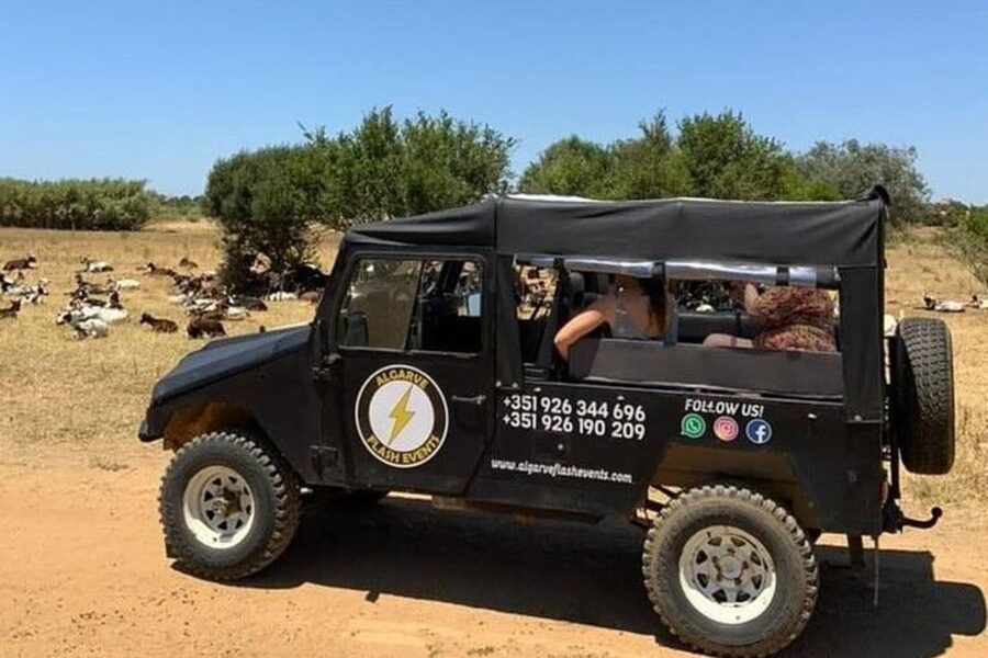 Albufeira Safari with entrance in Krazy World & Bone Chapel - The farm stop and local tastes: honey, firewater, jams