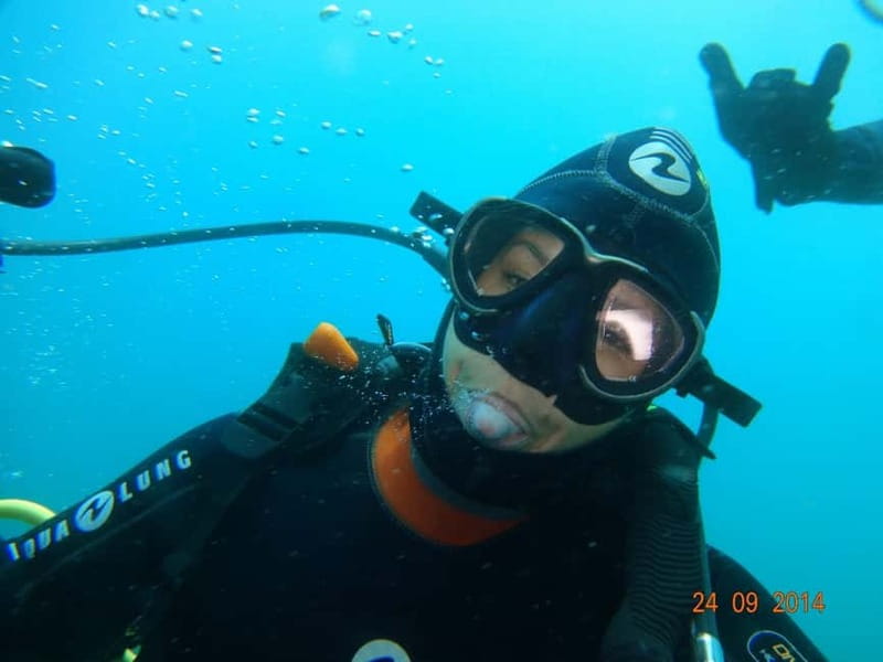 Albufeira: Scuba Diving Experience for Beginners - Key highlights if you’re deciding