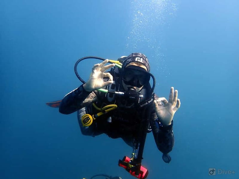 Albufeira: Scuba Diving Experience for Beginners - Small-group attention and the coaching style that keeps you calm