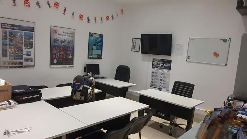 Albufeira: Scuba Diving Experience for Beginners - Price and value: what you’re really paying for at about $162