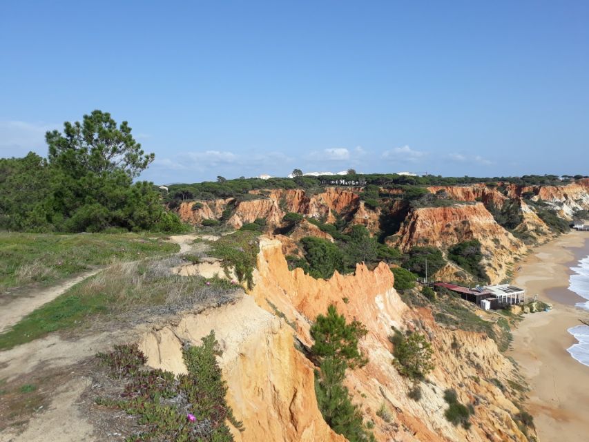 Albufeira: Tuk-tuk Sightseeing Tour - Guides make it worth the money, especially names like Andre