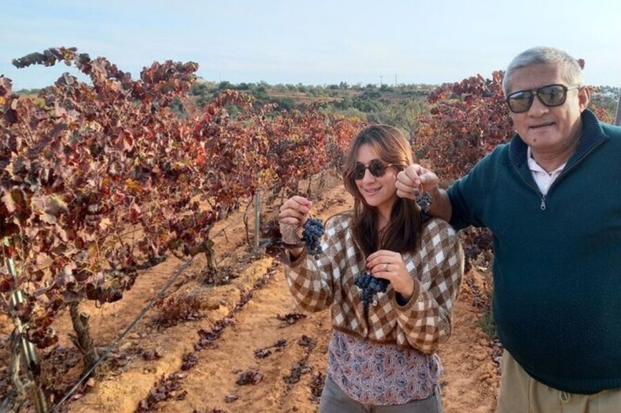 Albufeira/Vilamoura: Winery Tour with Wine Tasting and Tapas - Key Things I’d Bet You’ll Remember