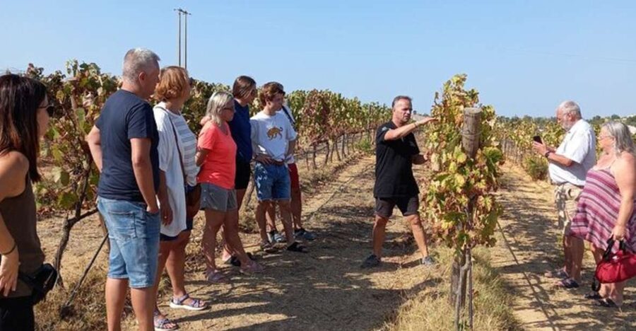 Albufeira/Vilamoura: Winery Tour with Wine Tasting and Tapas - The Ride Around Albufeira: Views, History, And Guide Energy