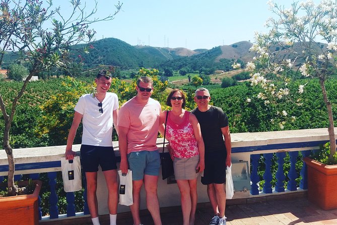 Albufeira Wine Tasting: Boutique Winery Tour & Historic Silves - Albufeira pickup, the drive, and why the route matters