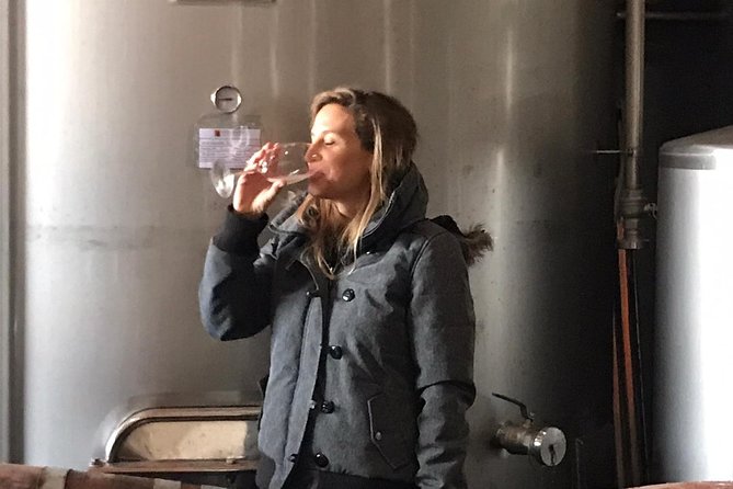 Albufeira Wine Tasting: Boutique Winery Tour & Historic Silves - Silves town walk: Moorish capital vibes without the museum fatigue