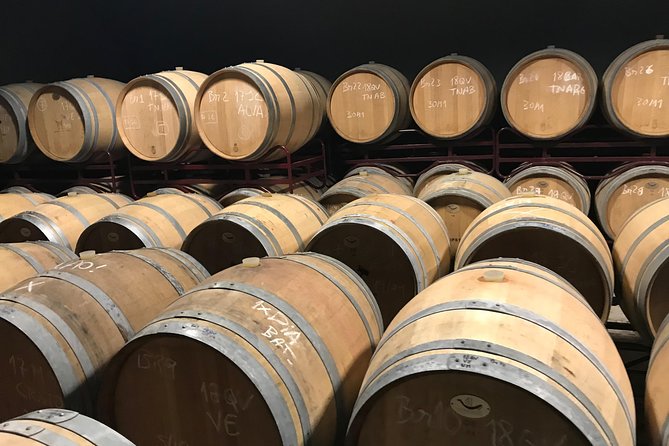 Albufeira Wine Tour: 2 Vineyards, 6 Tastings & Historic Silves - Paxá Wines, Lda.: Negra Mole and Crato in the Silves Orbit