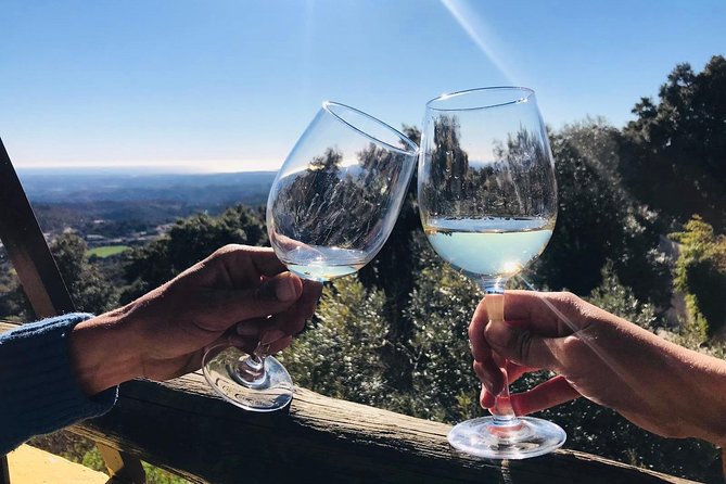 Albufeira Wine Tour: 2 Vineyards, 6 Tastings & Historic Silves - The Six Tastings and Snack Pairings: How to Taste Without Burning Out
