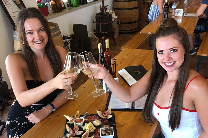 Albufeira Wine Tour: 2 Vineyards, 6 Tastings & Historic Silves - Who This Albufeira Wine Tour Fits Best