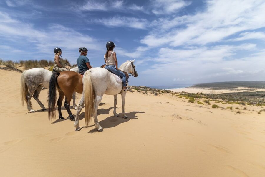 Algarve: 1-Hour Carrapateira Horseback Riding Tour - Key things I’d circle on your shortlist