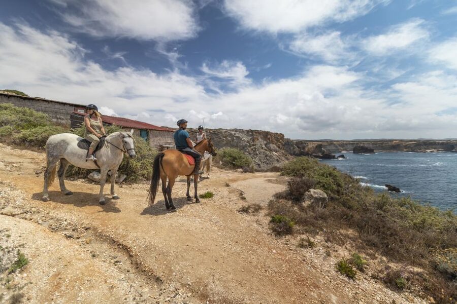 Algarve: 1-Hour Carrapateira Horseback Riding Tour - Price and value: is 82 per person fair?