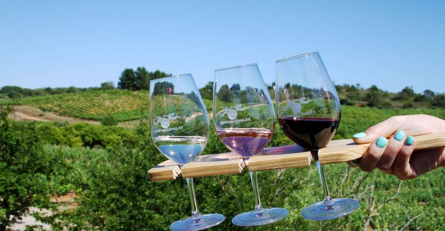 Algarve: 3 Types of Wine Tastings with Vineyard Views - Quinta dos Vales in the Algarve: what you’re really buying for $19