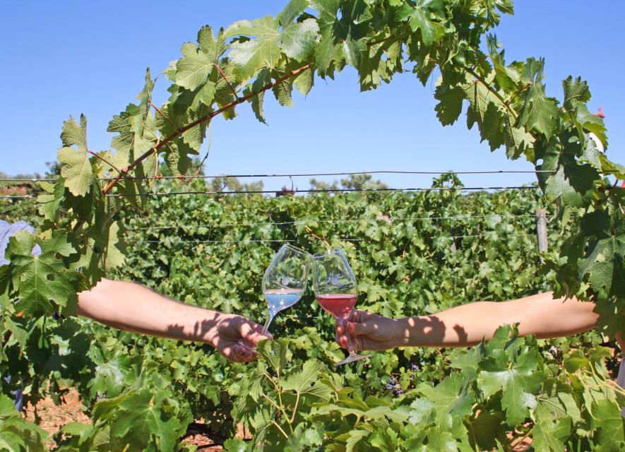 Algarve: 3 Types of Wine Tastings with Vineyard Views - Your 3-wine flight: how staff helps you choose what to taste