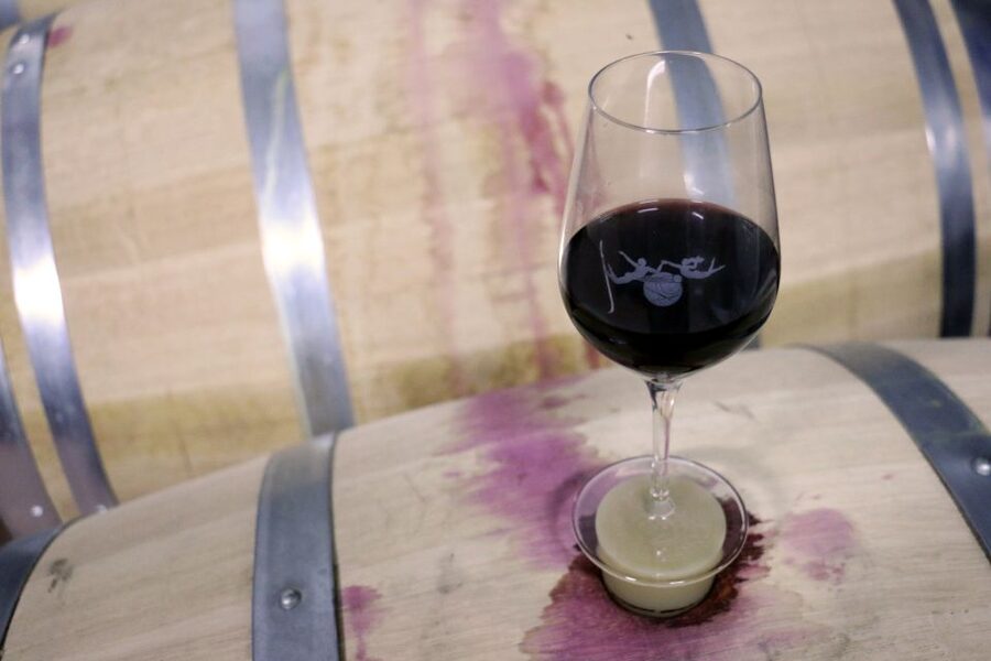 Algarve: 3 Types of Wine Tastings with Vineyard Views - Sculpture gardens after your pour: an easy, memorable walk