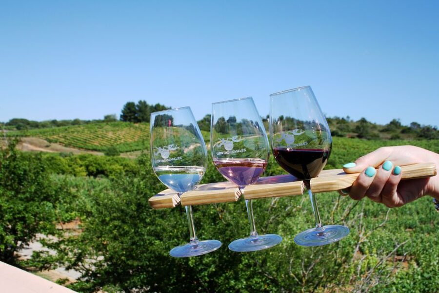 Algarve: 3 Types of Wine Tastings with Vineyard Views - Should you book this Quinta dos Vales wine tasting in the Algarve?