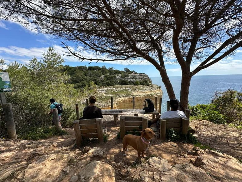 Algarve: 7 Seven Hanging Valley Hike Tour- Photos & Transfer - Why This 3-Hour Coastal Hike Feels Like Good Algarve Value