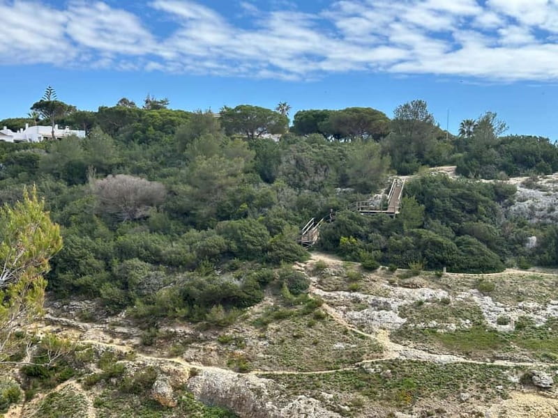 Algarve: 7 Seven Hanging Valley Hike Tour- Photos & Transfer - Guide Skills, Biology and Geology Notes, and Wildlife Spotting