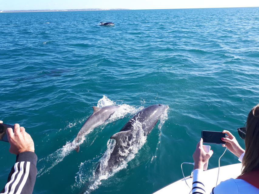 Algarve: Boat Trip to the Caves of Benagil - Open sea route, rock formations, and 20+ caves