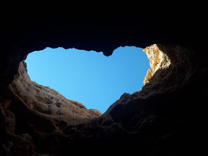 Algarve: Boat Trip to the Caves of Benagil - Dolphins, timing, and sea conditions to expect