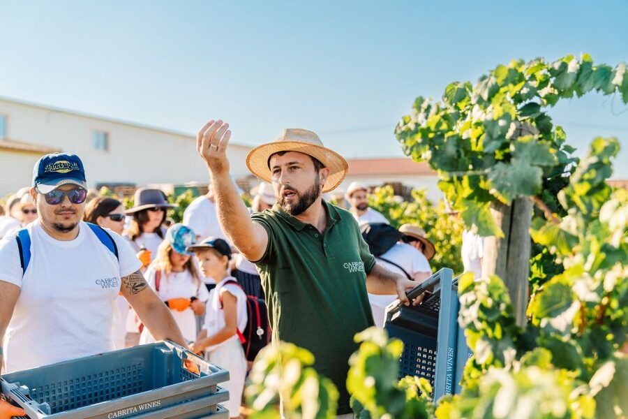 Algarve: Classic Wine Tour & Tasting in Silves - Getting There in Silves: Plan for No Pickup