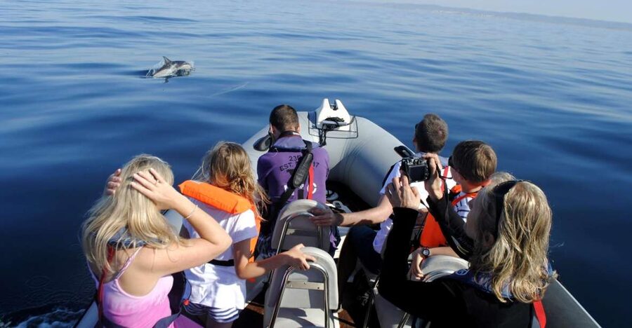 Algarve Dolphin Watching & Marine Life Eco Tour - Meeting at Formosamar and getting the boat experience right