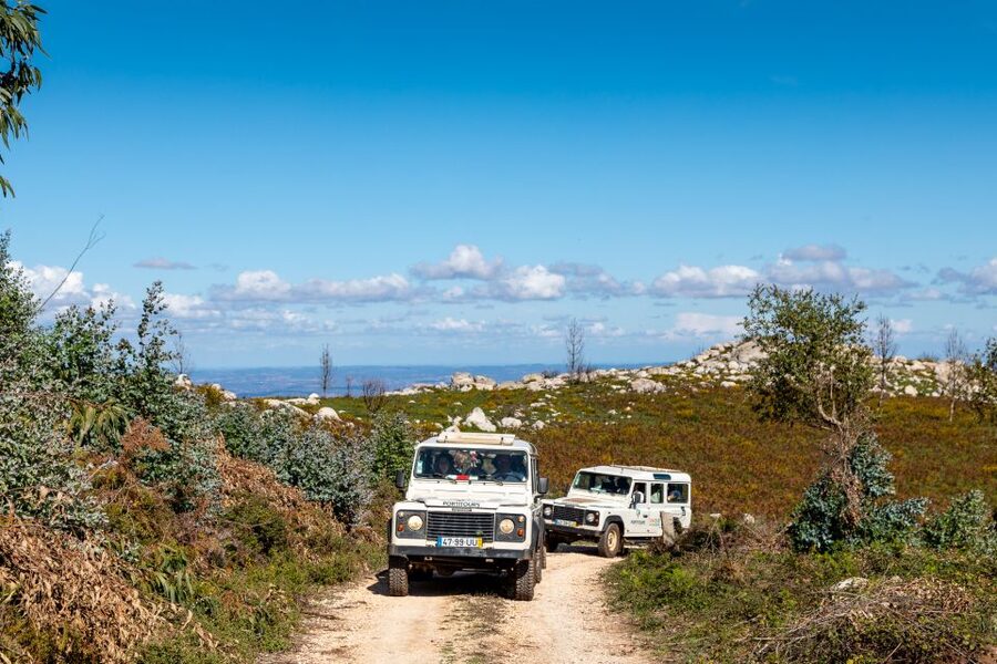Algarve: Full-Day Guided Sightseeing Tour with Lunch - Silves: Narrow Streets and Cathedral Time Without the Hassle