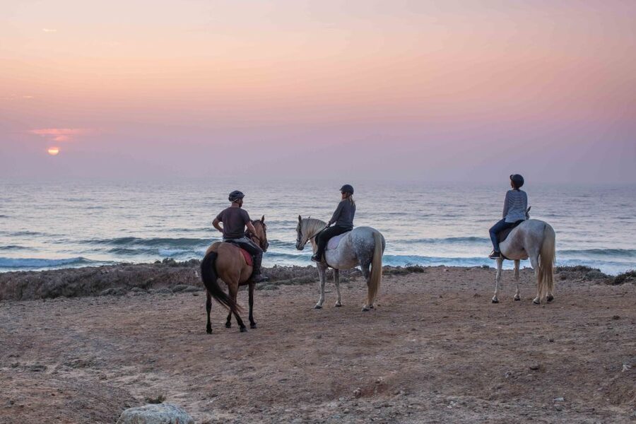 Algarve: Horse Riding Beach Tour at Sunset or Morning - Gallop on sand: what to expect, and how to maximize your chance
