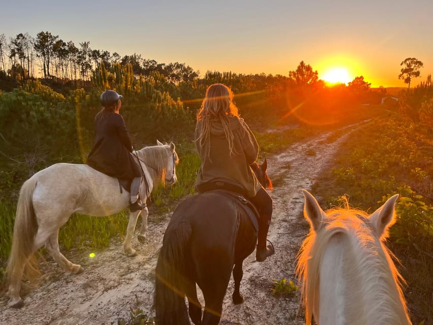 Algarve Horseriding tour in the countryside of Aljezur Rogil - Key things I’d mark in red before you book