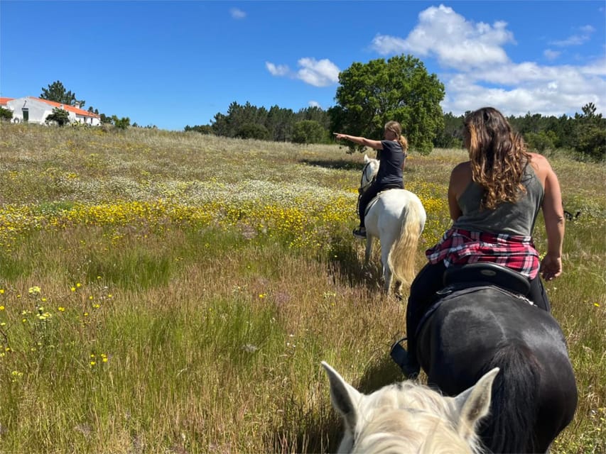 Algarve Horseriding tour in the countryside of Aljezur Rogil - Safety that stays practical, not performative
