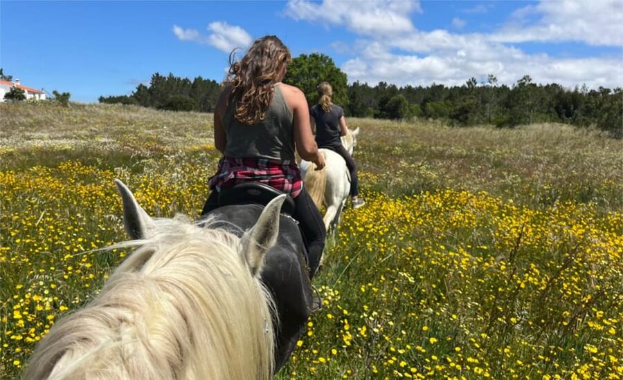 Algarve Horseriding tour in the countryside of Aljezur Rogil - What to bring, how to dress, and who will be happiest