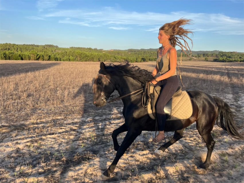 Algarve Horseriding tour in the countryside of Aljezur Rogil - Price and value: why $82 can make sense here