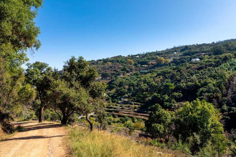 Algarve: Jeep Safari with Distillery Visit & Lunch - White-washed villages where old customs still peek through