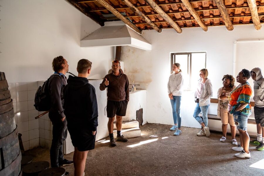 Algarve: Jeep Safari with Distillery Visit & Lunch - Medronho distillery visit: strong spirit, production stories, and honey making