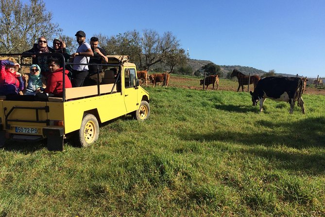 Algarve Mountains & Villages - Half Day Jeep Safari Trip - Key points worth knowing before you go