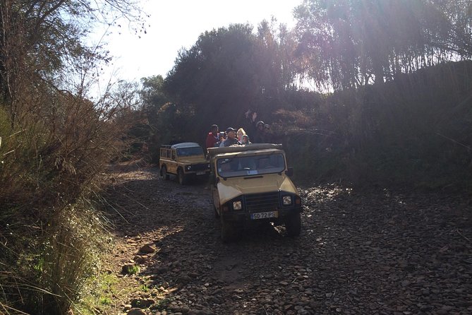 Algarve Mountains & Villages - Half Day Jeep Safari Trip - Stop in Paderne: the Goji farm, animals, herbs, and fire water