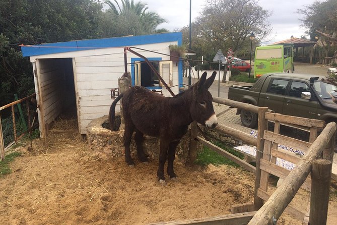 Algarve Mountains & Villages - Half Day Jeep Safari Trip - Price and what you actually get for $36.14