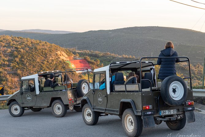 Algarve Safari - Full Day Tour from Albufeira w / lunch - Setting Off From Albufeira: What the day feels like