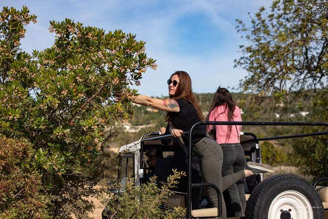 Algarve Safari - Half Day from Albufeira - Stop 1, Paderne Castle: A Quick Hit of Algarve History