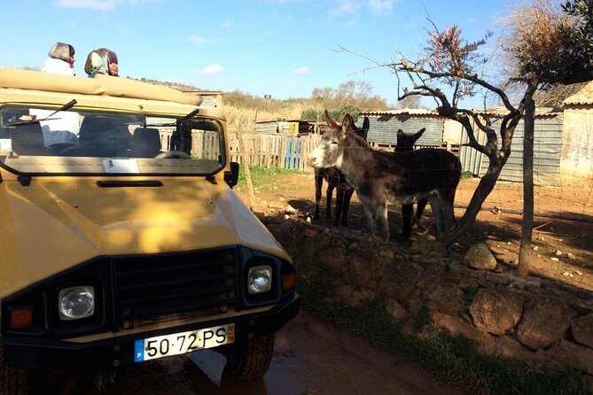 Algarve Sunset Experience - Half Day Jeep Safari Trip - Small group size, short duration, and what that means for your night