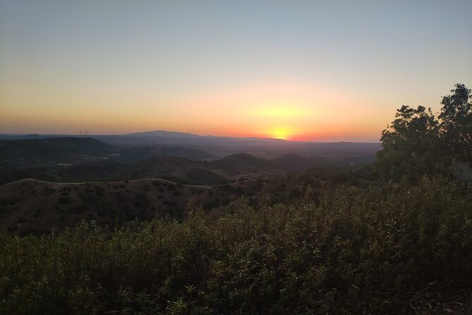 Algarve Sunset Safari Tour from Albufeira - Local Tastings and Small Culture Stops That Feel Personal