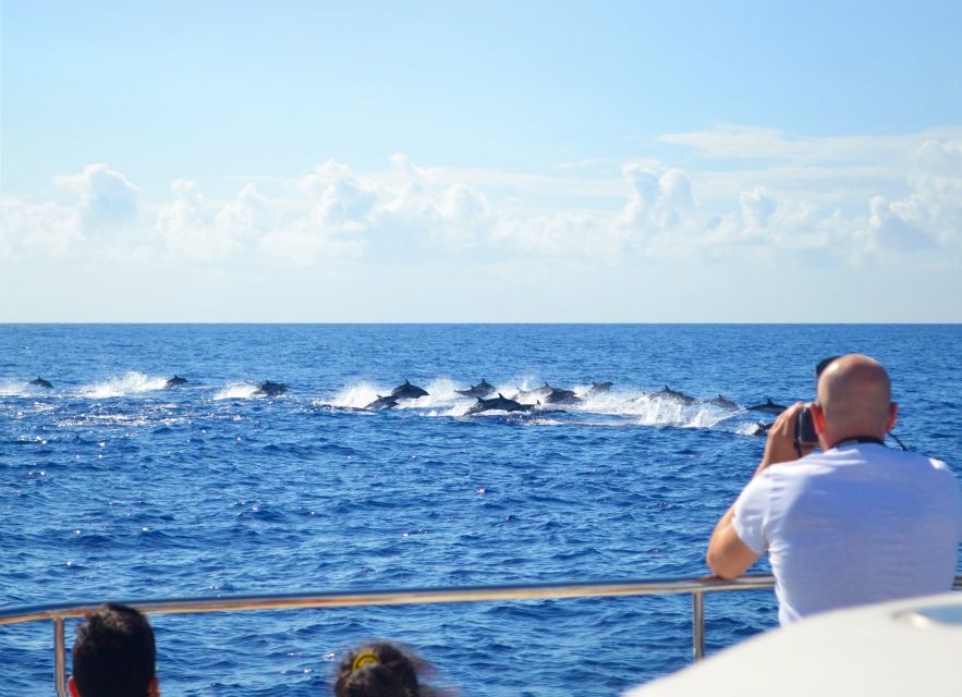 All Inclusive Whale and Dolphin Watching Luxury Tour - Entering the Funchal marina at VipDolphins