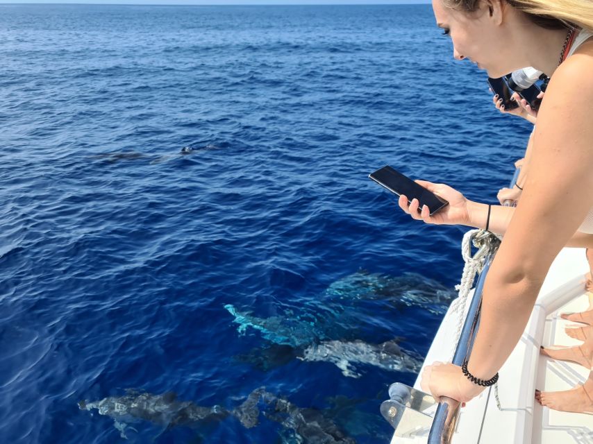 All Inclusive Whale and Dolphin Watching Luxury Tour - Cabo Girão cliff time: 586m views, plus a swim with snorkel gear