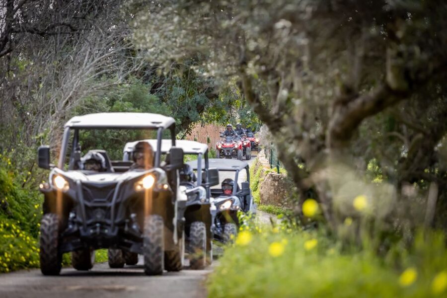 Almancil: Algarve Guided Off-Road Buggy Adventure - Off-Road Buggy Fun in Almancil: What the Experience Feels Like