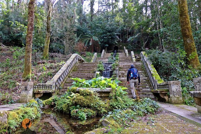 An adventure through the Forest and Palace of Bussaco - Coimbra - Key highlights to look for