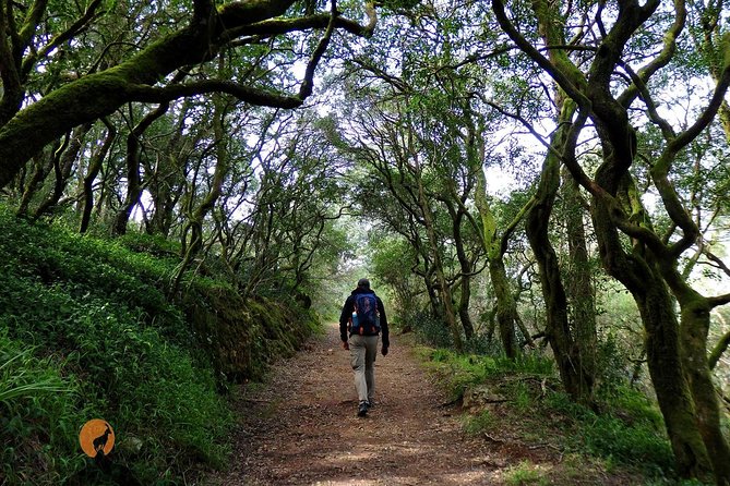 An adventure through the Forest and Palace of Bussaco - Coimbra - Portas de Coimbra and Adernal: Small Stops That Make the Day Feel Bigger
