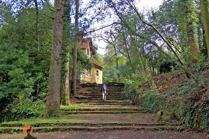 An adventure through the Forest and Palace of Bussaco - Coimbra - Price and Value: What $90.11 Gets You