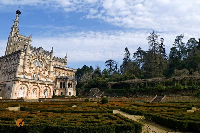An adventure through the Forest and Palace of Bussaco - Coimbra - Who Should Book This Tour (and Who Might Not)