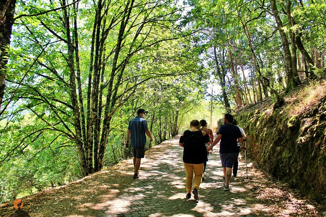 An adventure through the Schist Villages of Lousã - Where You Start: Mondego’s Green Park and Coimbra Pickup