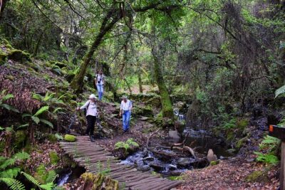 An adventure through the Schist Villages of Lousã (with walk)